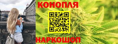 прущие крисы Новозыбков