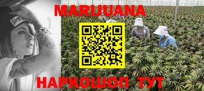 прущие крисы Новозыбков