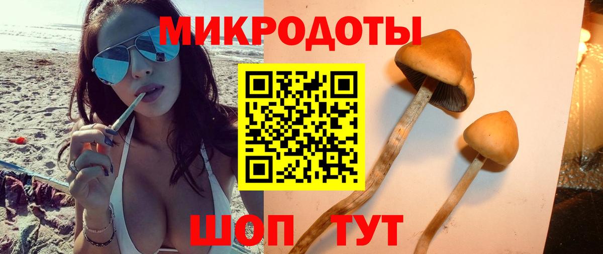 Заречный  Псилоцибиновые грибы Psilocybine cubensis  Вход с VPN 